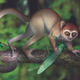 Illustration for article titled The Biggest Science Stories of 2013